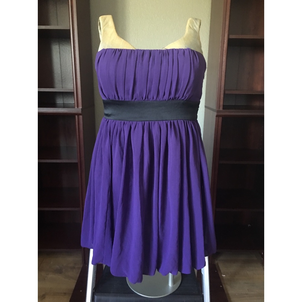 NWOT Purple Strapless Dress